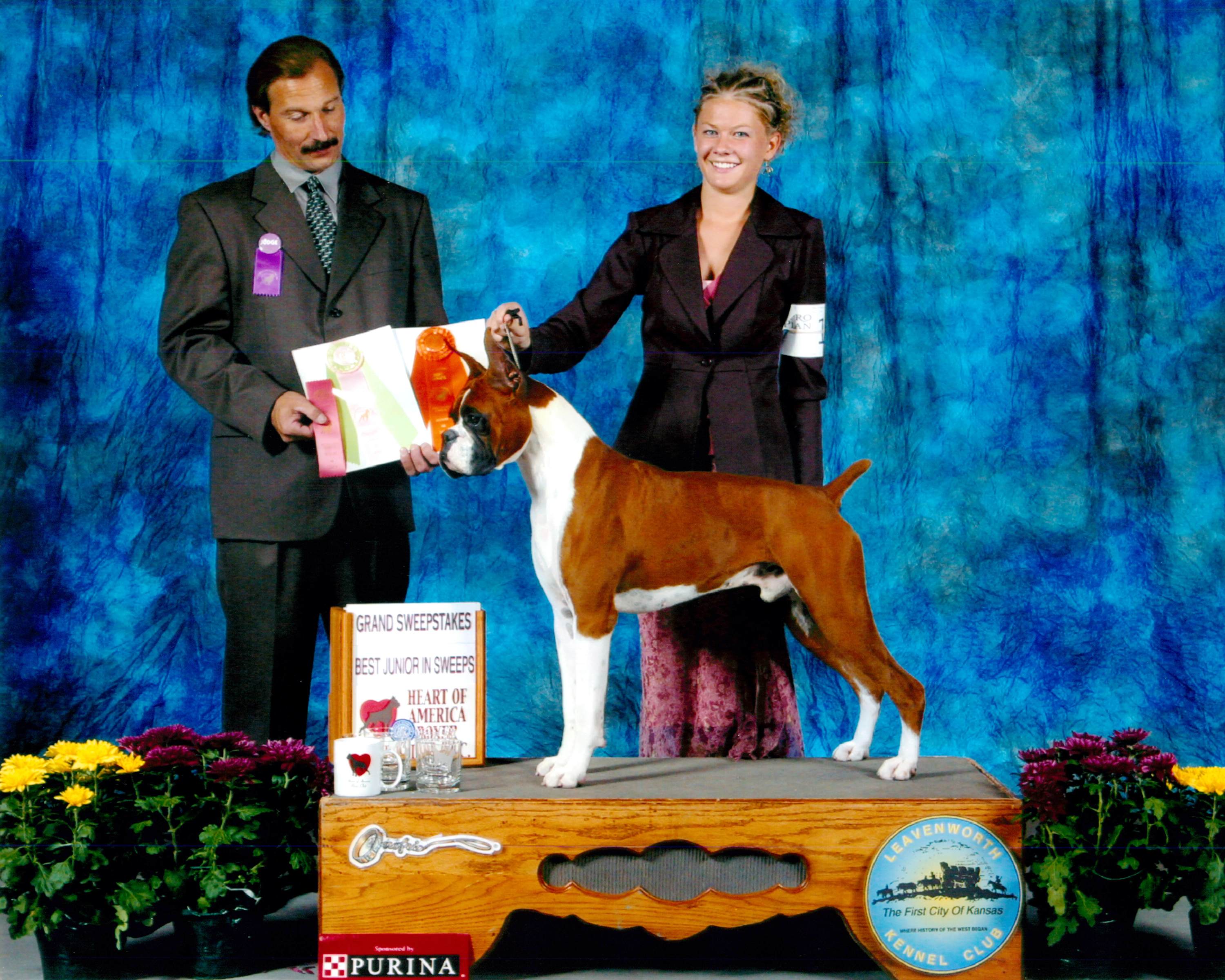 Grand Sweepstakes, Best Junior @ 2003 Specialty Show #2