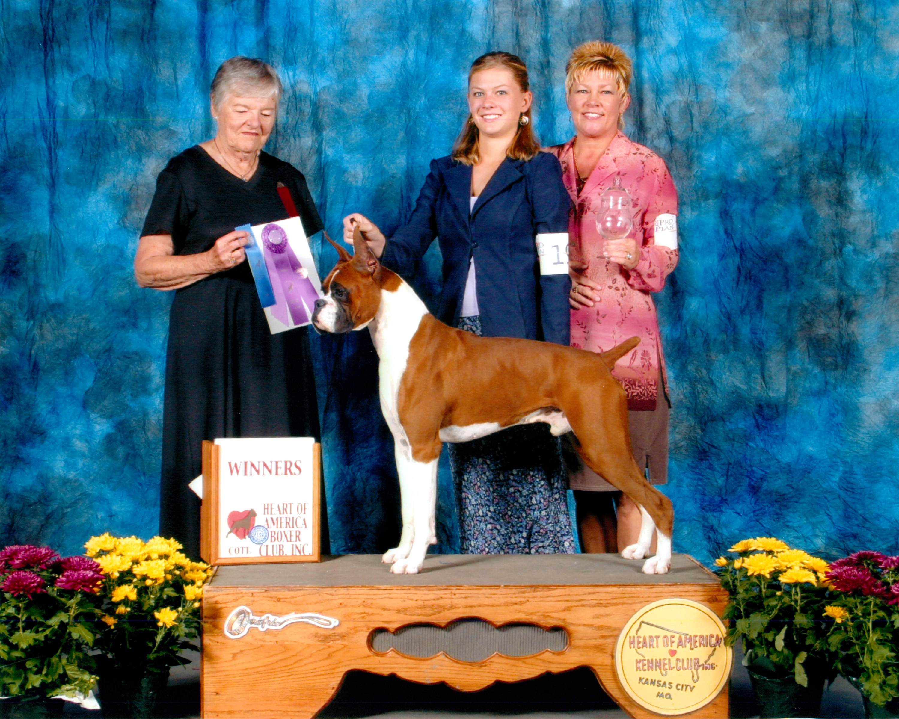 Winners Dog @ 2003 Specialty Show #2