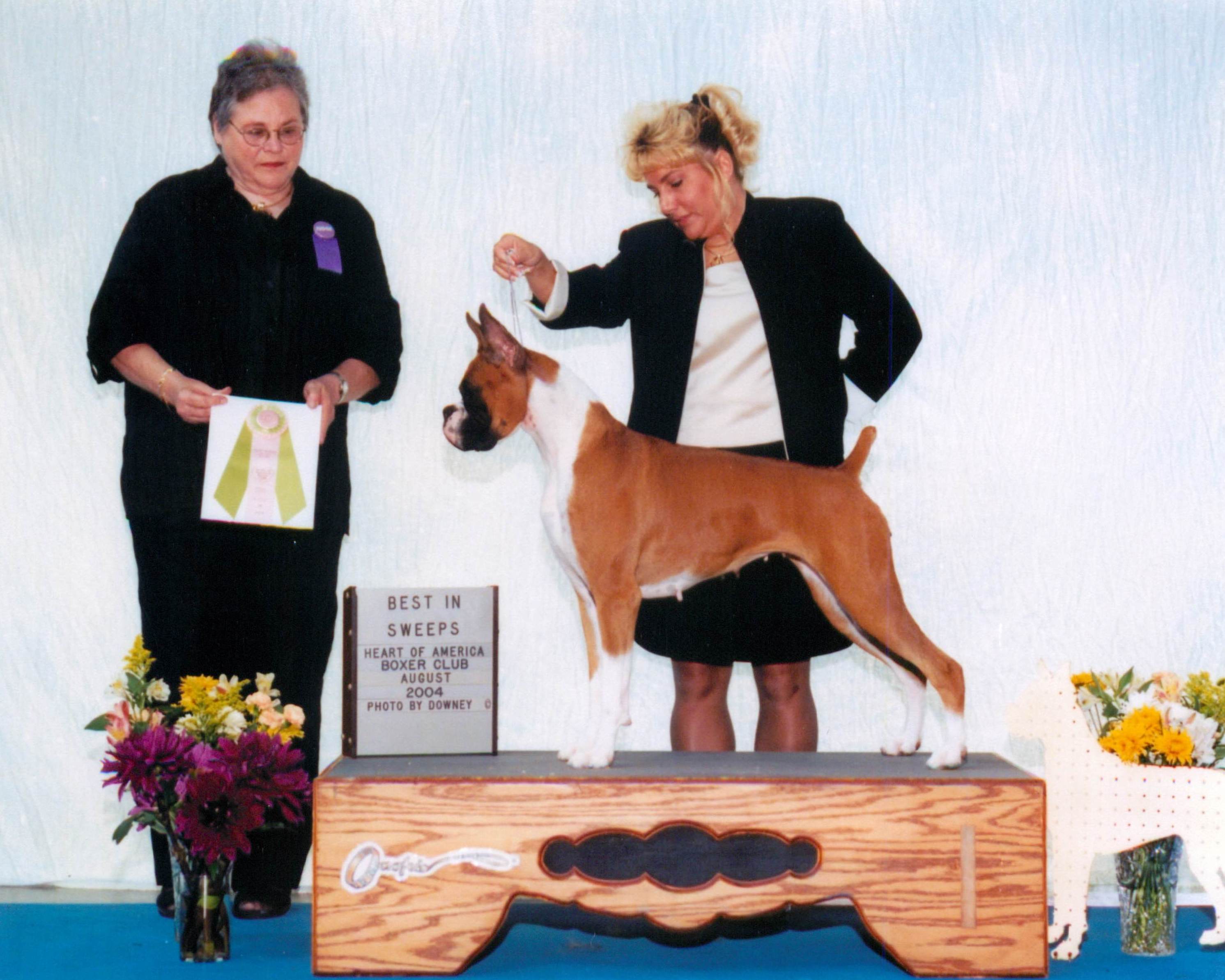 Grand Sweepstakes & Best Junior @ 2004 Specialty Show #1