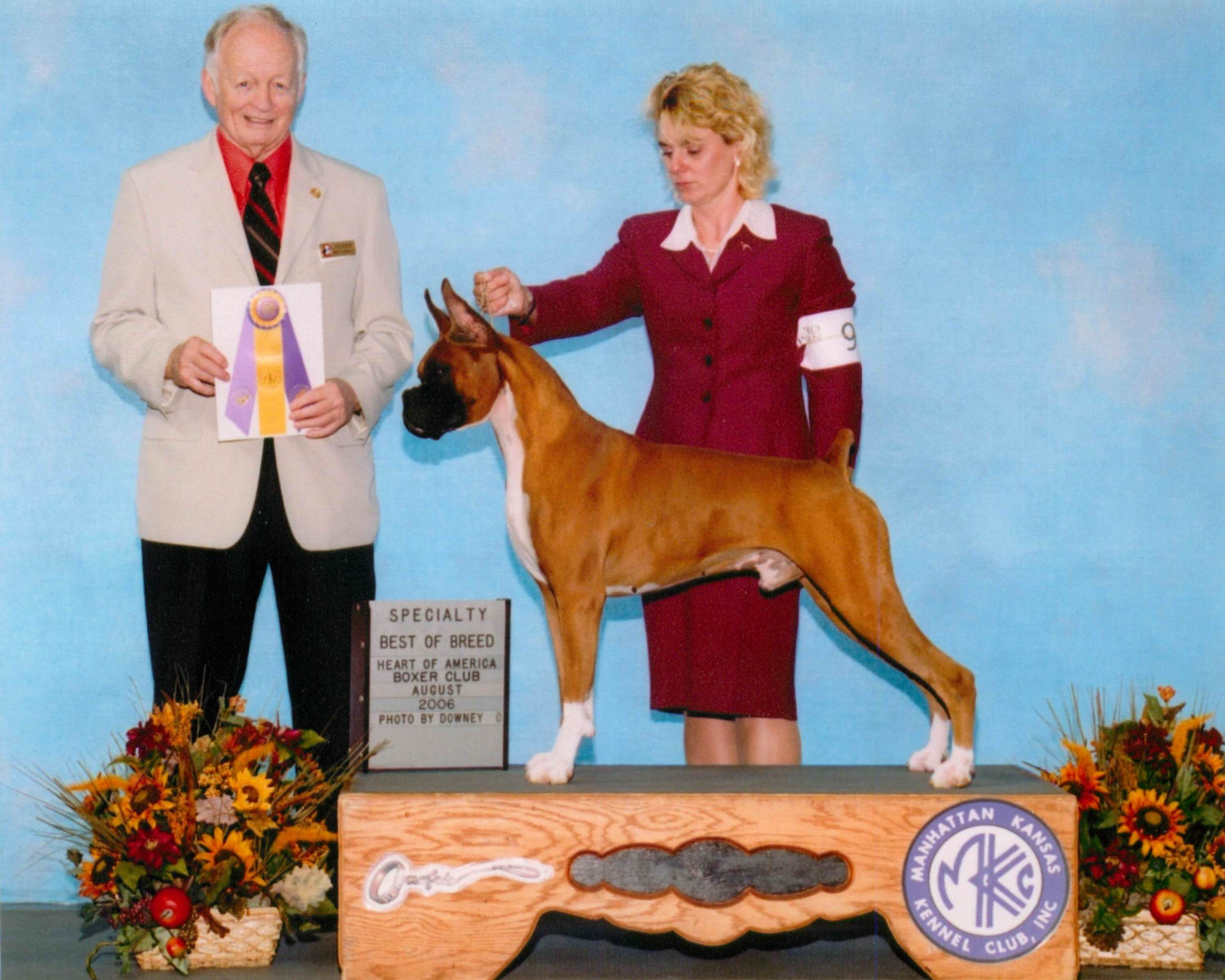 Best of Breed @ 2006 Specialty Show #2