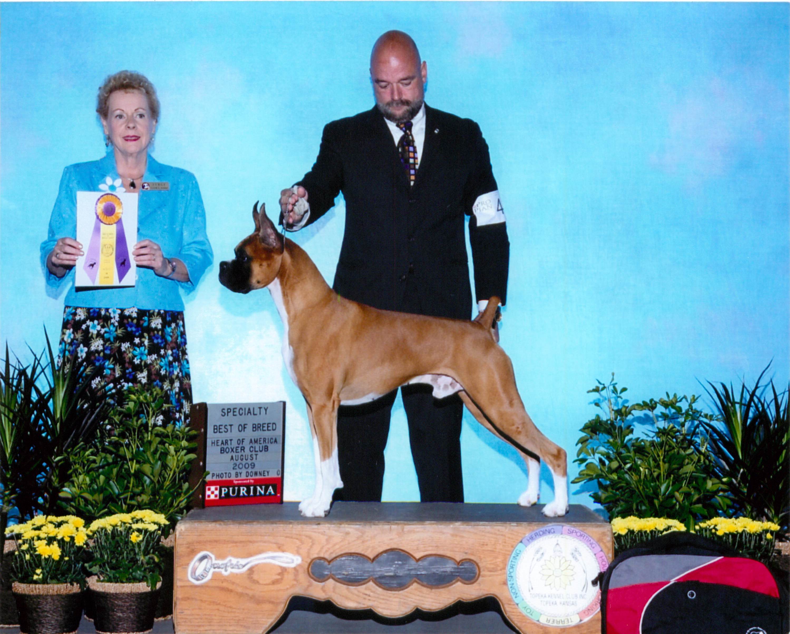Best of Breed @ 2009 Specialty Show #2