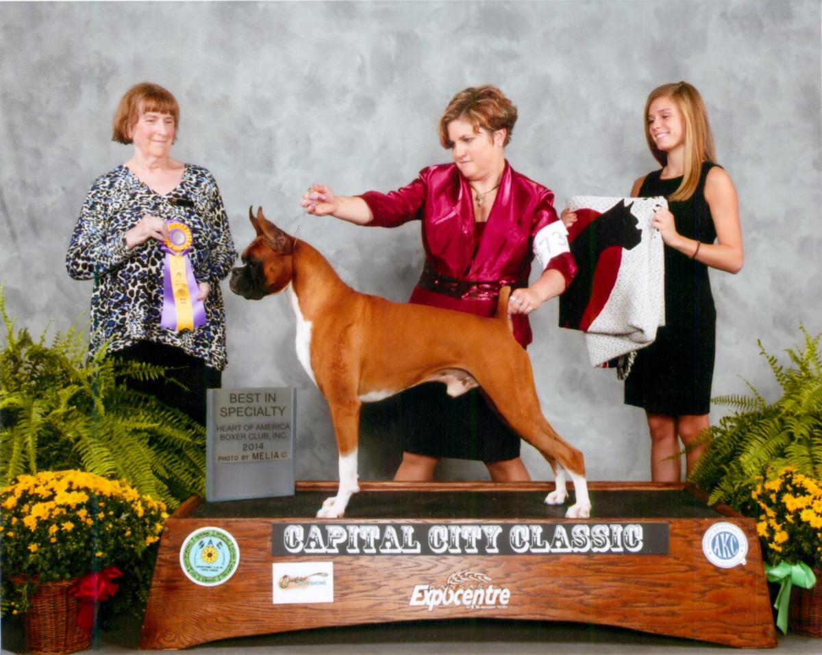Best of Breed @ 2014 Specialty Show #1